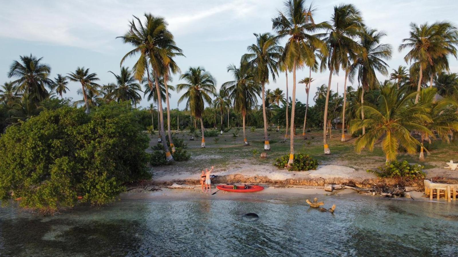 Santa Lova Eco-Hostel Isla Tintipan Tintipan Island Eksteriør bilde